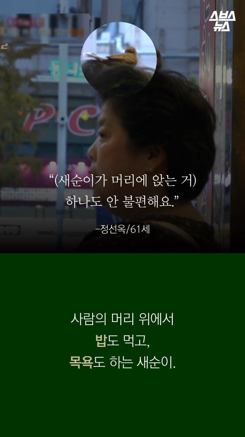 평소와 다름없이 촬영에 나간 세상에 이런 일이 제작진_4.jpg