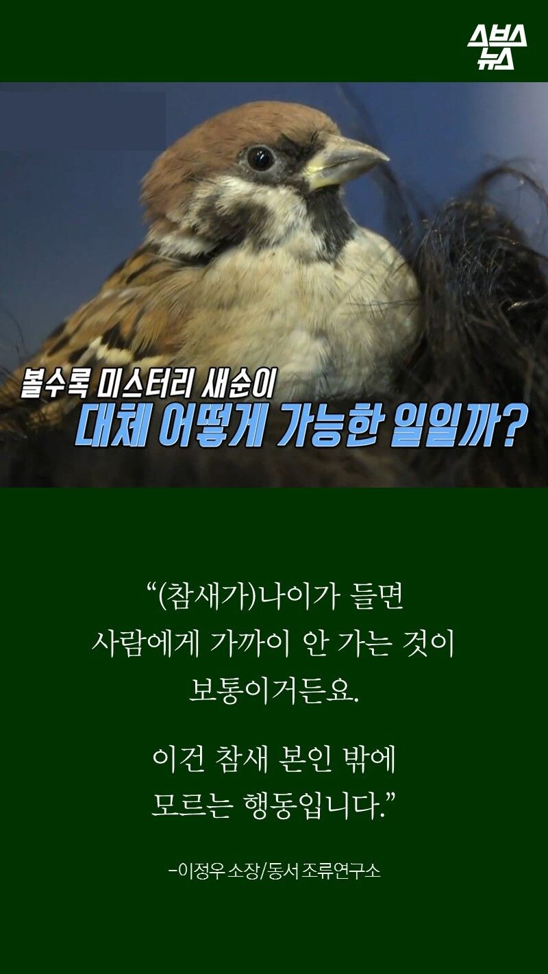 평소와 다름없이 촬영에 나간 세상에 이런 일이 제작진_6.jpg
