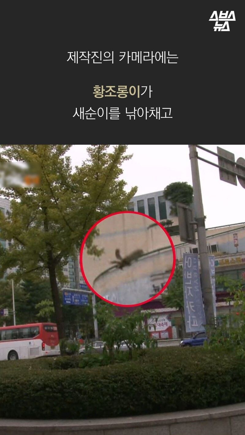 평소와 다름없이 촬영에 나간 세상에 이런 일이 제작진_8.jpg