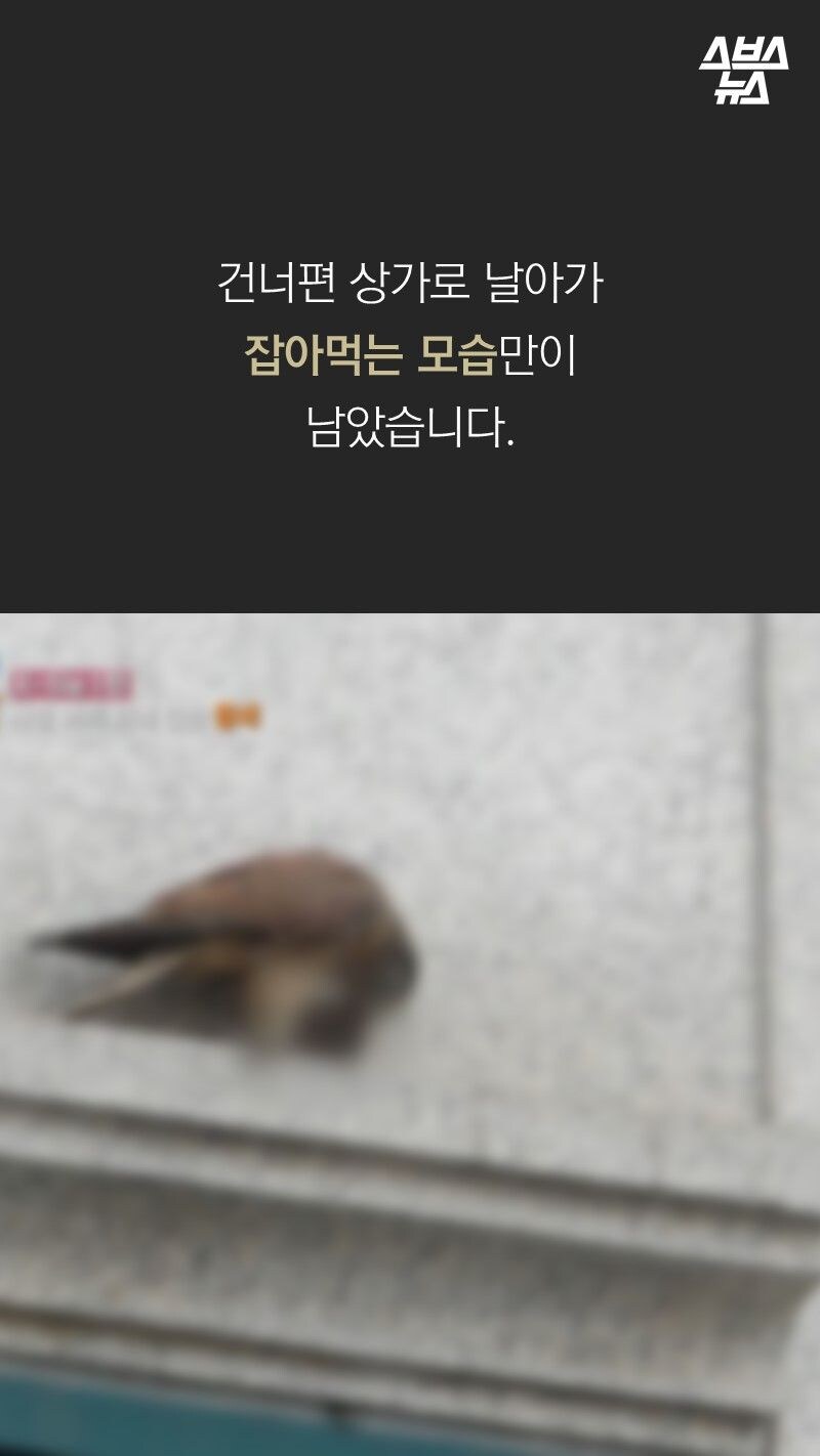 평소와 다름없이 촬영에 나간 세상에 이런 일이 제작진_9.jpg