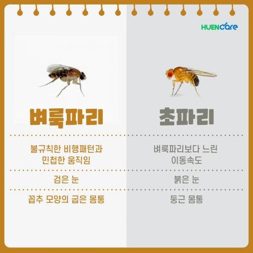 모기보다도 흉악하다는 인류에게 최악의 곤충.jpg_1.jpg