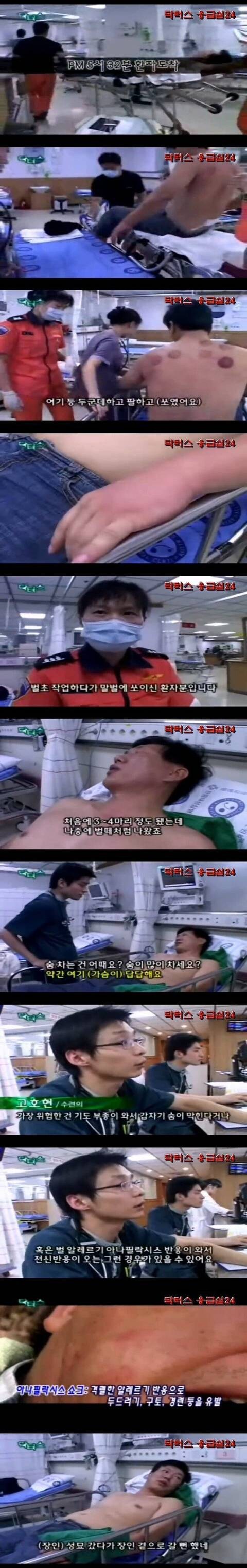 벌초 갔다가 장인 만날 뻔 한 남자...._1.jpg