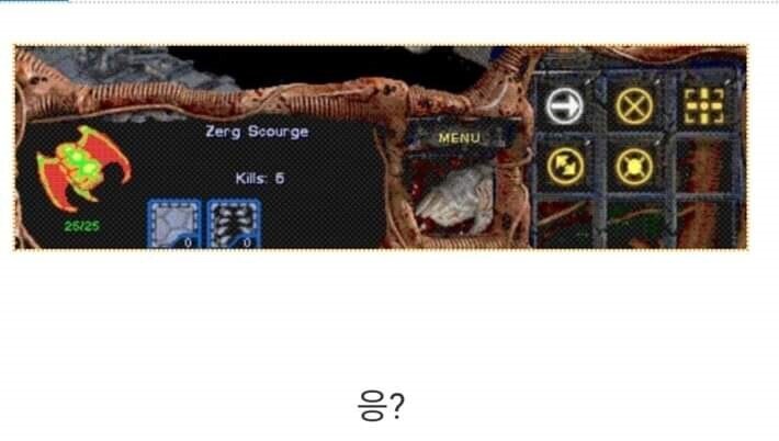 경력있는 신입사원_1.jpg