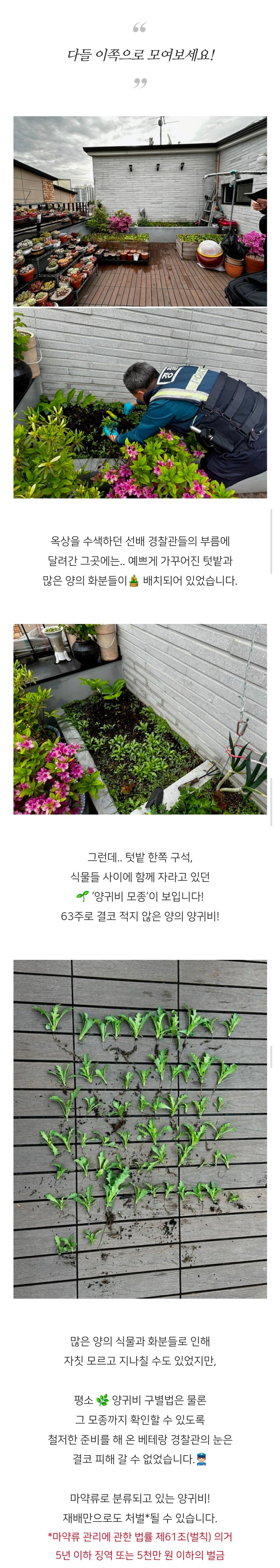 집에서 보라색 조명 쓴다는 제보에 출동한 경찰_2.png