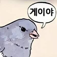 사람 뒤통수 때리는 새_5.jpg