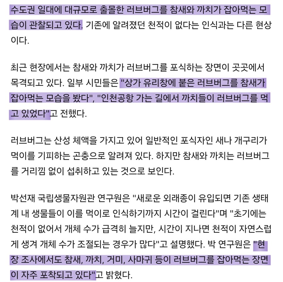 러브버그 근황_1.jpg