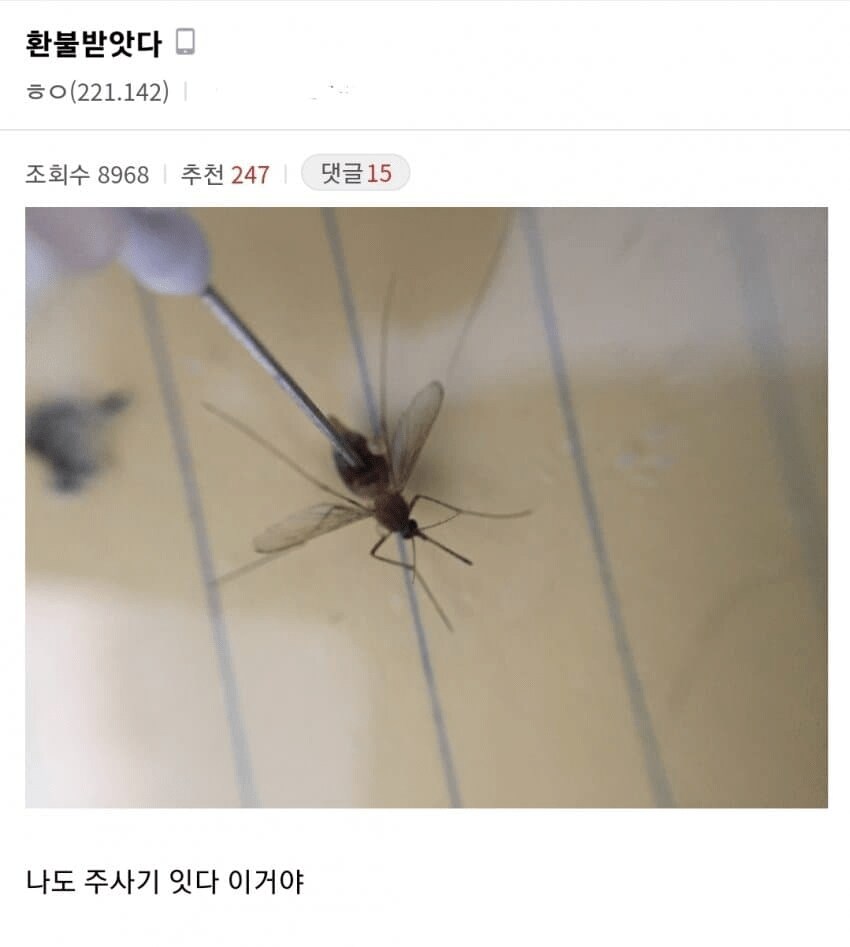 환불 받은 디시인_1.png