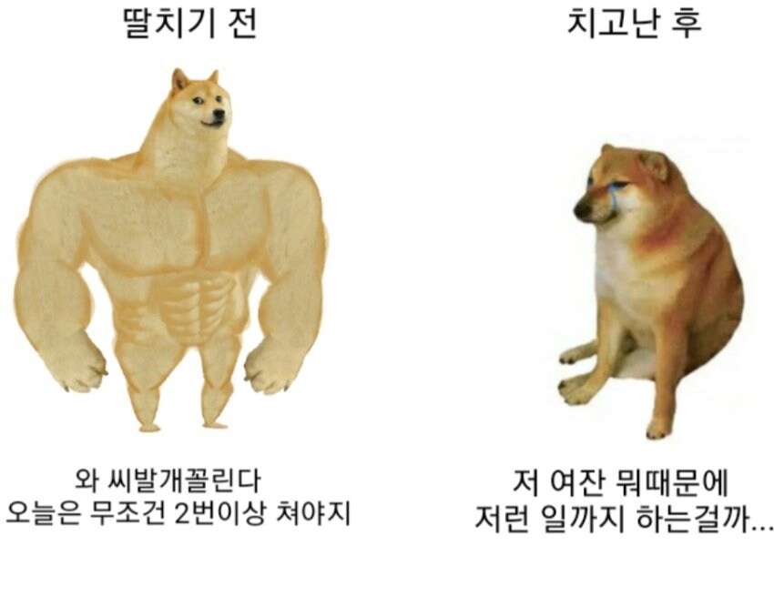 딸 치기 전과 후 반응.jpg_1.png
