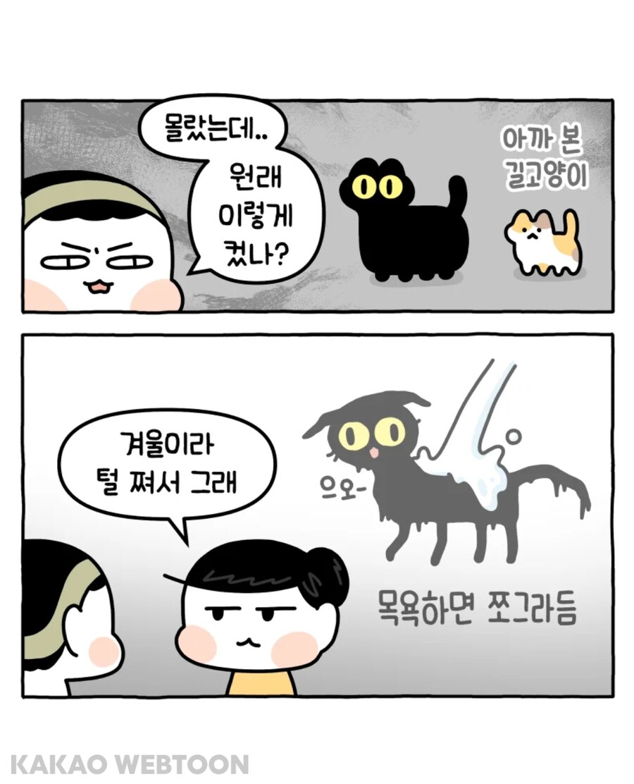 그 호랑이 만화 작가님이 현재 그리시는 거_6.jpg
