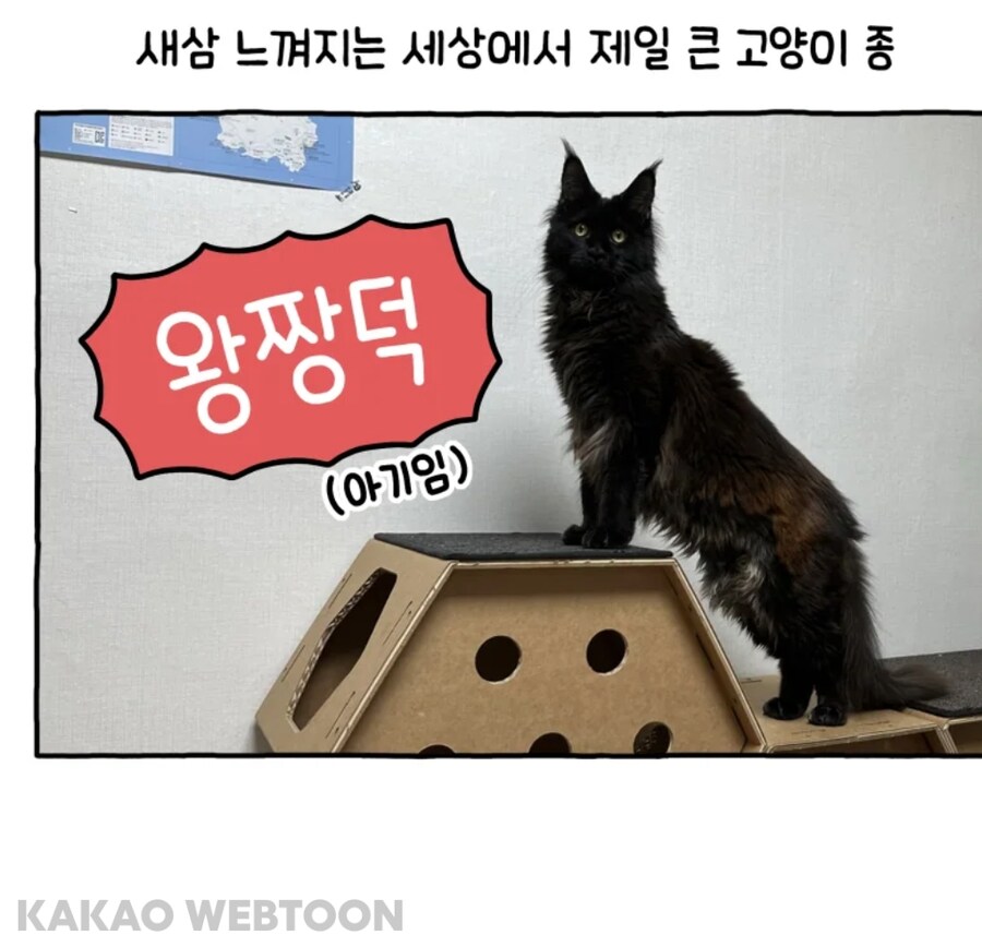 그 호랑이 만화 작가님이 현재 그리시는 거_8.jpg