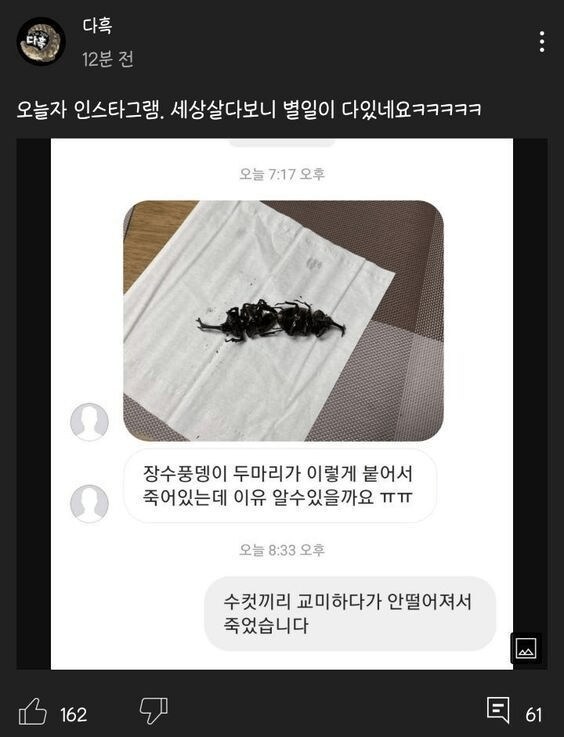 곤충 유튜버도 난생 처음 본 상황_1.png