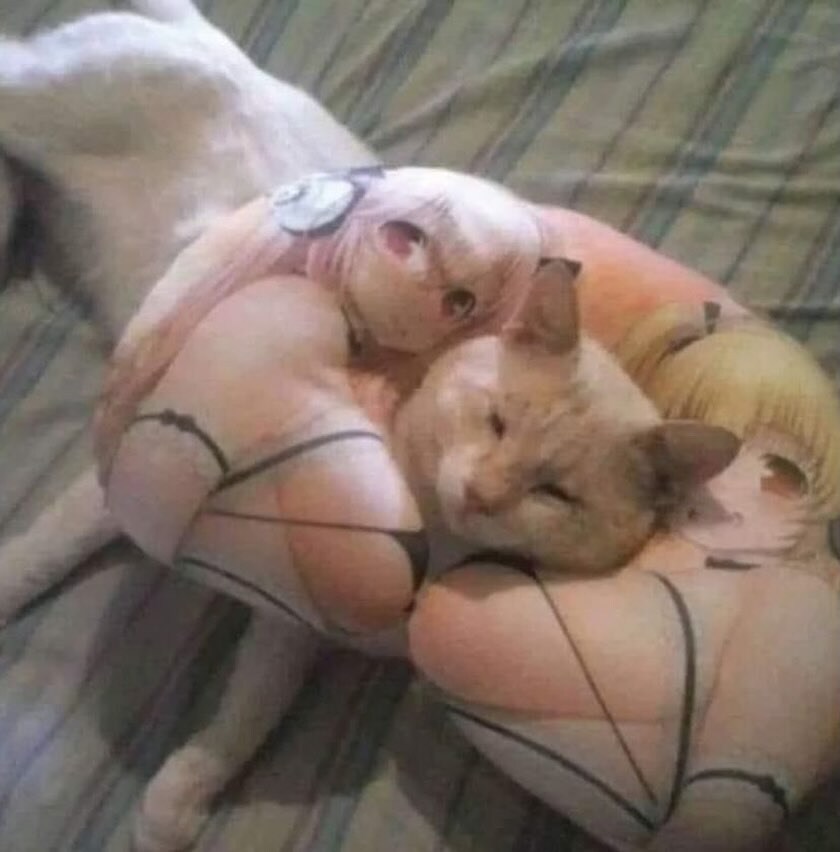 젖끼냐_1.png