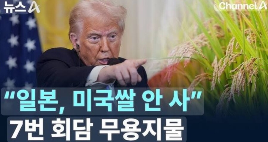 지금 관세로 일본이 ㅈㄴ 억울한 이유_2.jpg