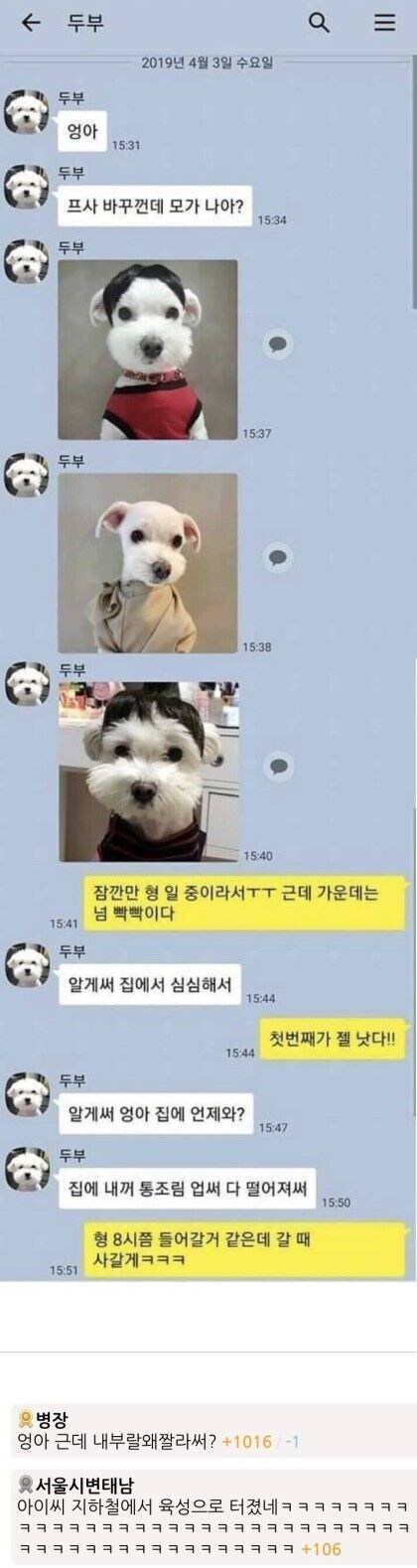 엉아 프사바꿀껀데 어느게 나아?_1.jpg