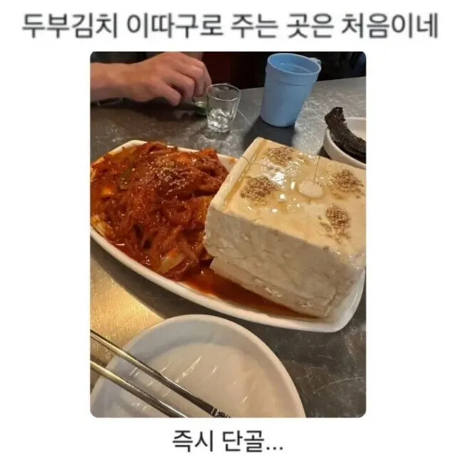 두부김치 먹을때 두부는 차가운거 vs 뜨거운거_1.jpg