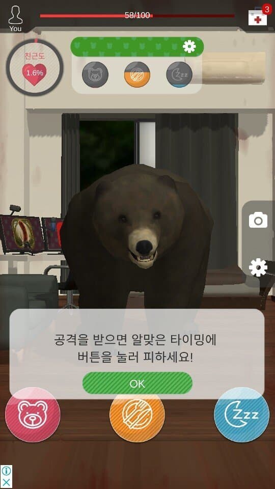 야생 회색곰이 놀러 왔어요!.jpg_2.jpg