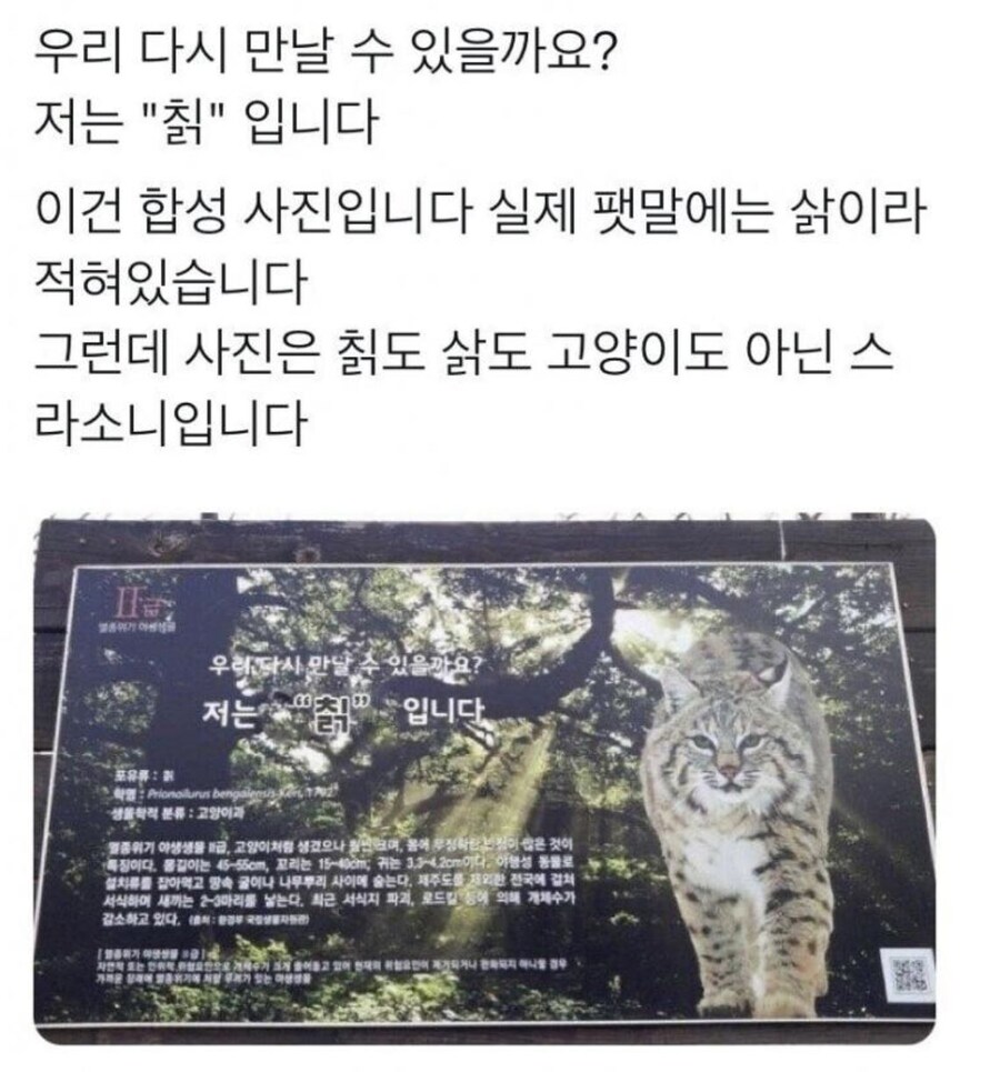 우리 다시 만날 수 있을까요? 저는 "칡"입니다._1.jpg