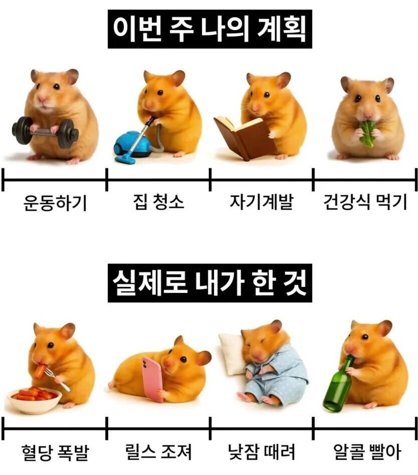 이번주 나의 계획 VS 실제로 내가 한 것.jpg_1.jpg