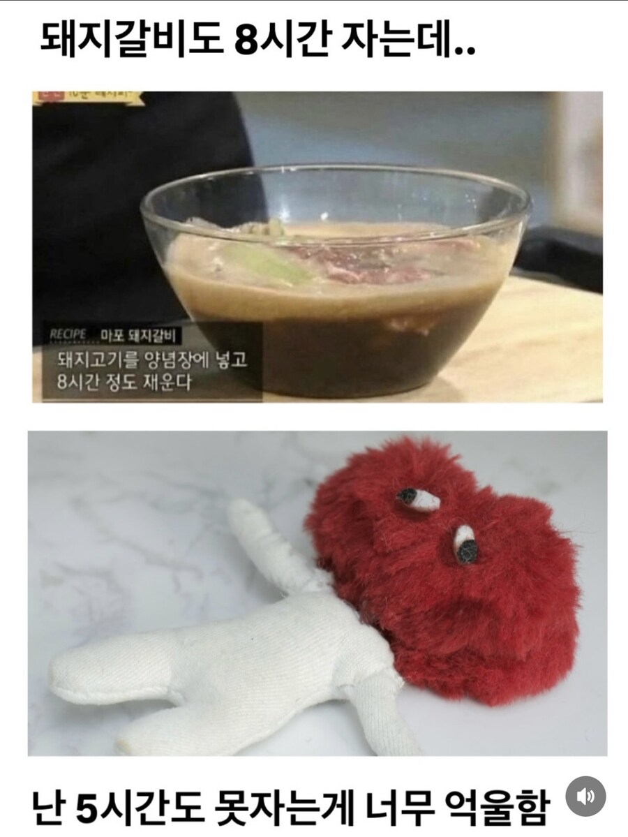 하루 8시간도 못 자는 사람들 보셈_1.jpg