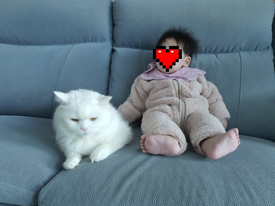 플스를 노리는 야옹이_11.jpg