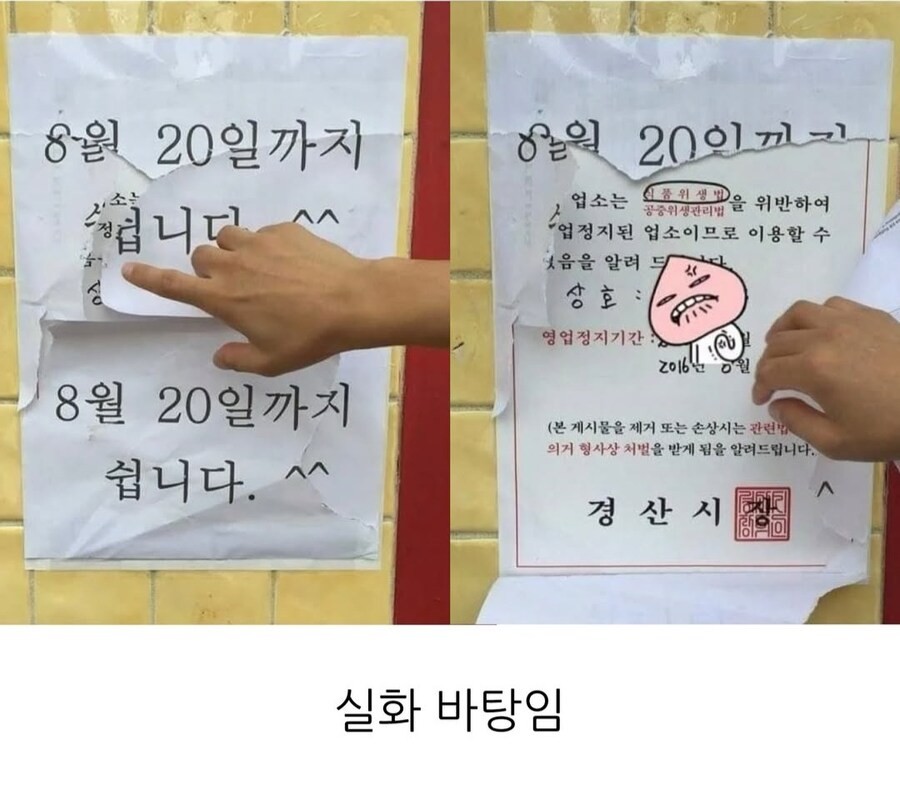 갑자기 장기휴무하는 식당은 의심해봐야 함_2.jpg