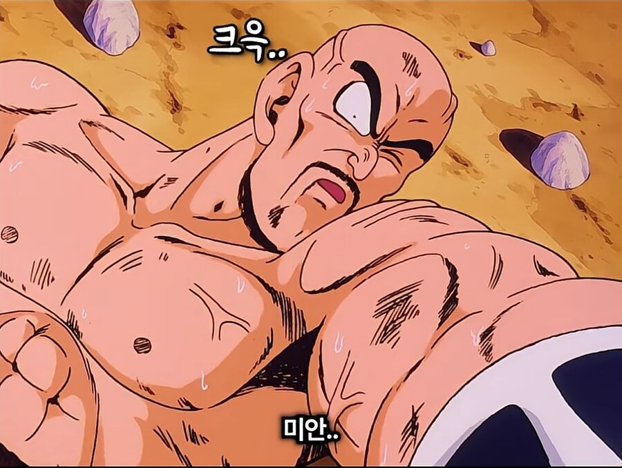드래곤볼) 베지터가 지구에서 손오공에게 패배한 가장 큰 이유_1.jpg