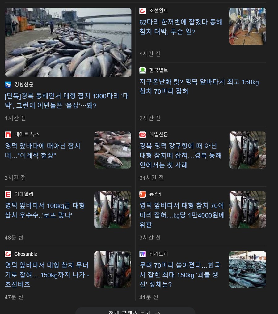 동해안 근황_1.png