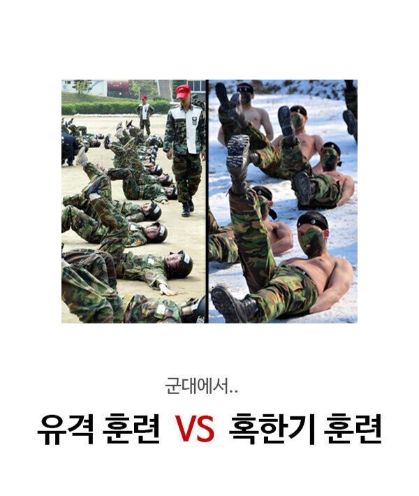 더운게 추운거보다는 나은 이유.jpg_1.jpg