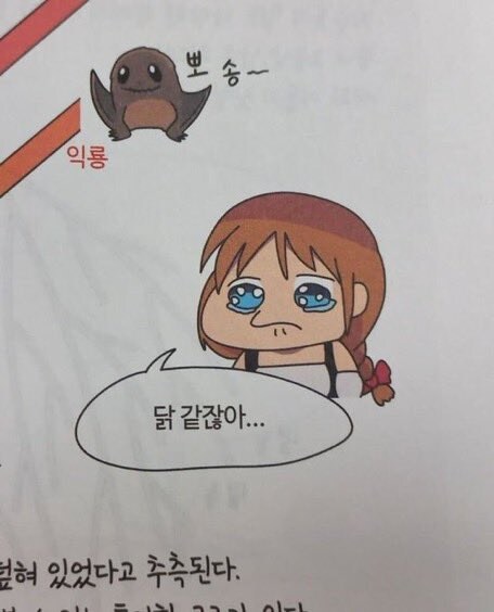 학습만화에 실린 밈_2.jpg