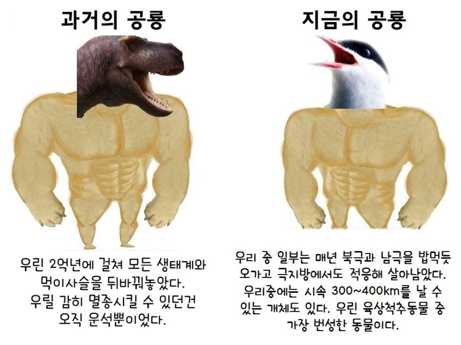 과거와 현재_1.jpg