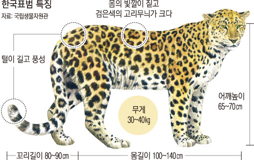 케이팝) 초대 무당들이 개쩌는 이유_2.jpg