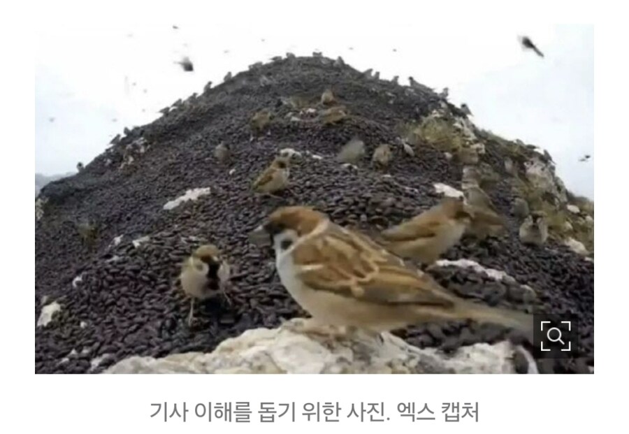 지옥에서 이거나 보고 있거라 마오저뚱.jpg_2.jpg