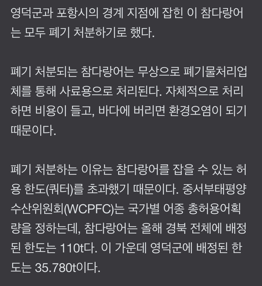요즘 동해안은 참다랑어가 풍년_1.jpg