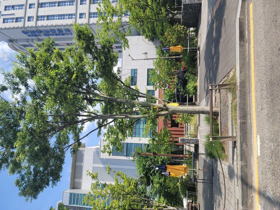 전 주에 전주에 다녀왔습니다._4.jpg