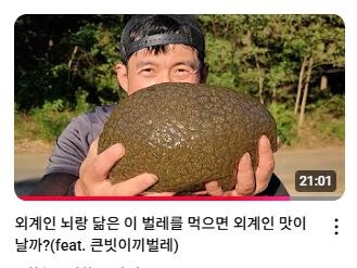 인방) 러브버그 사태로 떡상한 유튜버_4.jpg