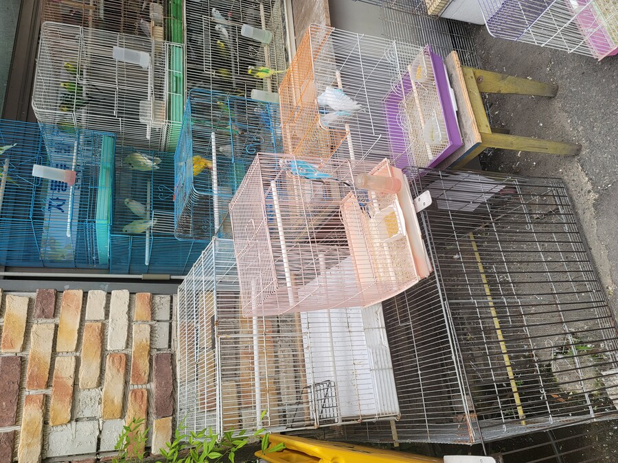 전 주에 전주에 다녀왔습니다._15.jpg