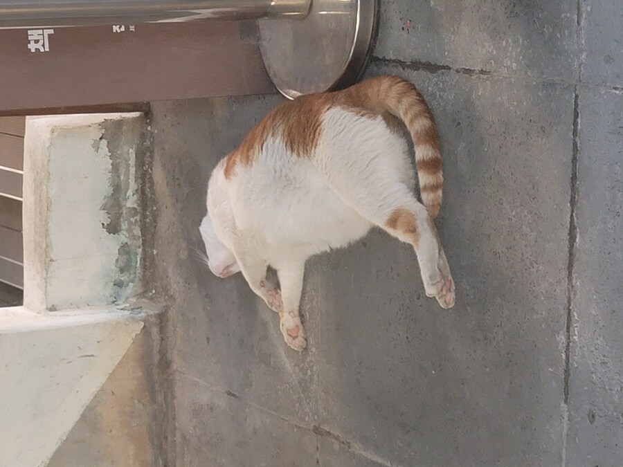 전 주에 전주에 다녀왔습니다._23.jpg