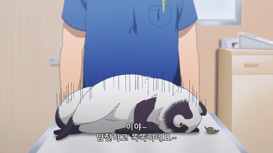 비와너와 : 무시무시한 동물병원 원장님_16.png
