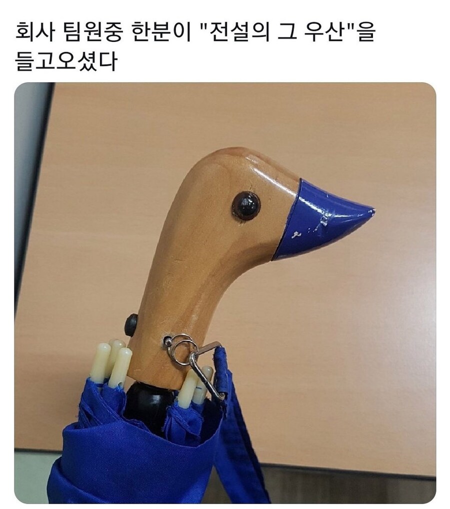 전설의 우산_1.jpg