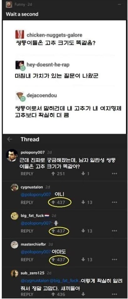 쌍둥이들 고추크기가 궁금한 여자_1.jpg