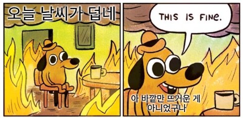 ㅇㅇㄱ) 싱글벙글 7월 8일 유게 밈 모음 (긴급 호외 편)_1.jpg