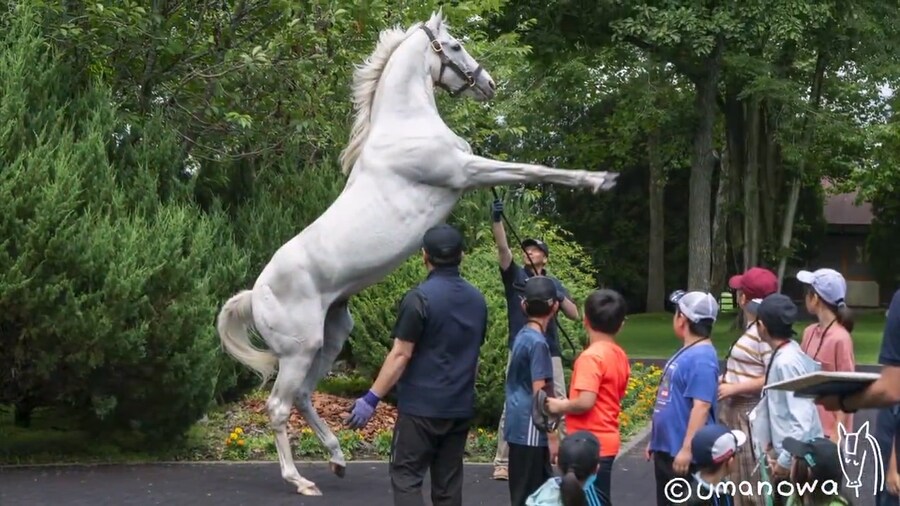 말딸)원본) 골드쉽 근황_1.jpg