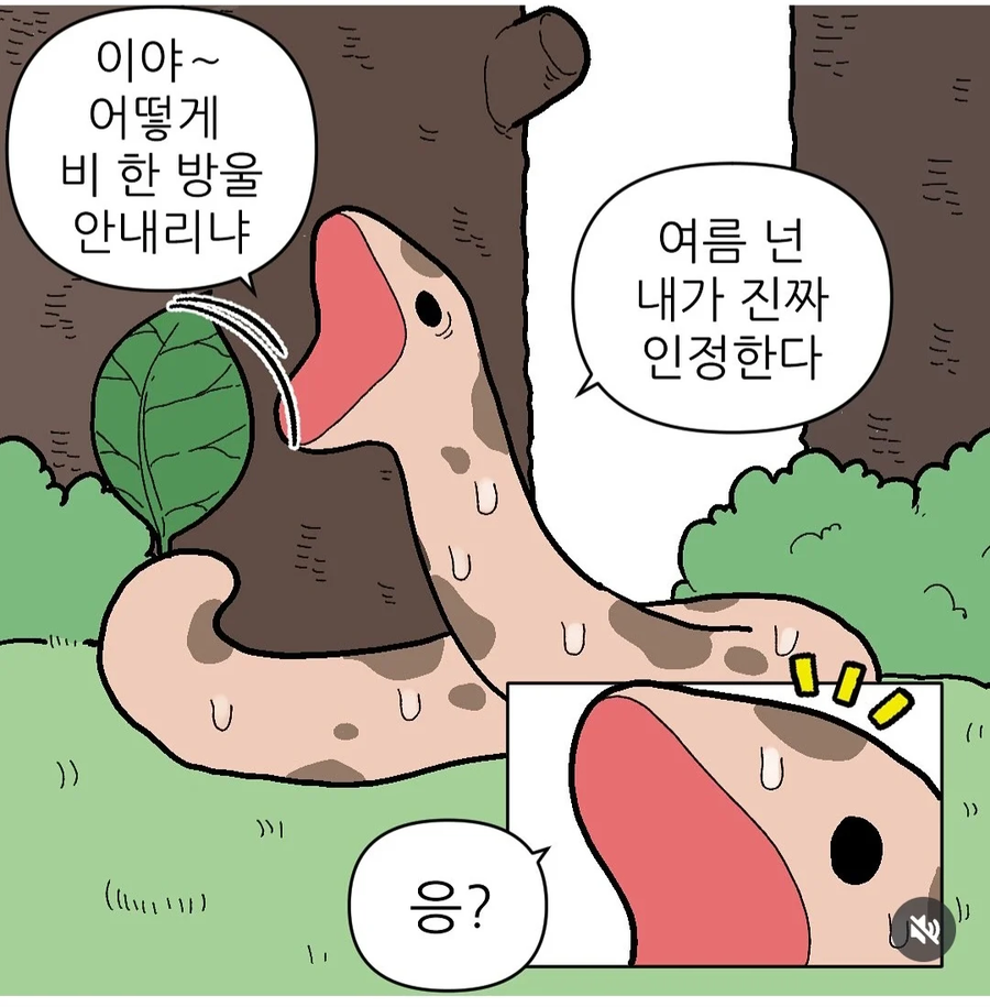 뱀들의 여름나기_1.webp