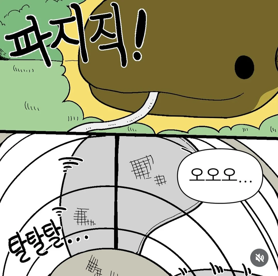 뱀들의 여름나기_6.webp
