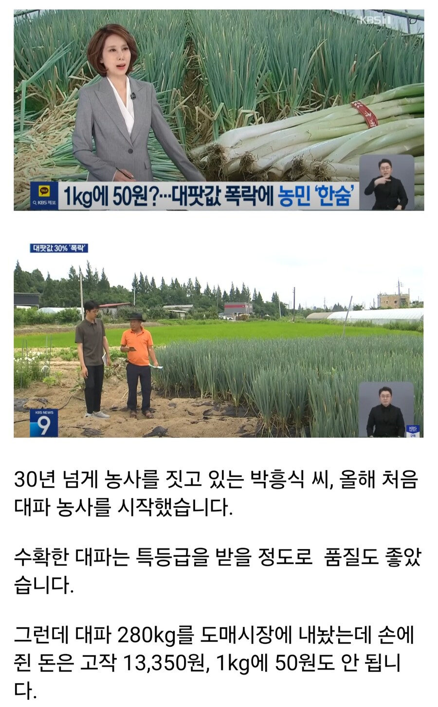 역대급 폭락 했다는 대파 가격 근황.jpg_1.jpg
