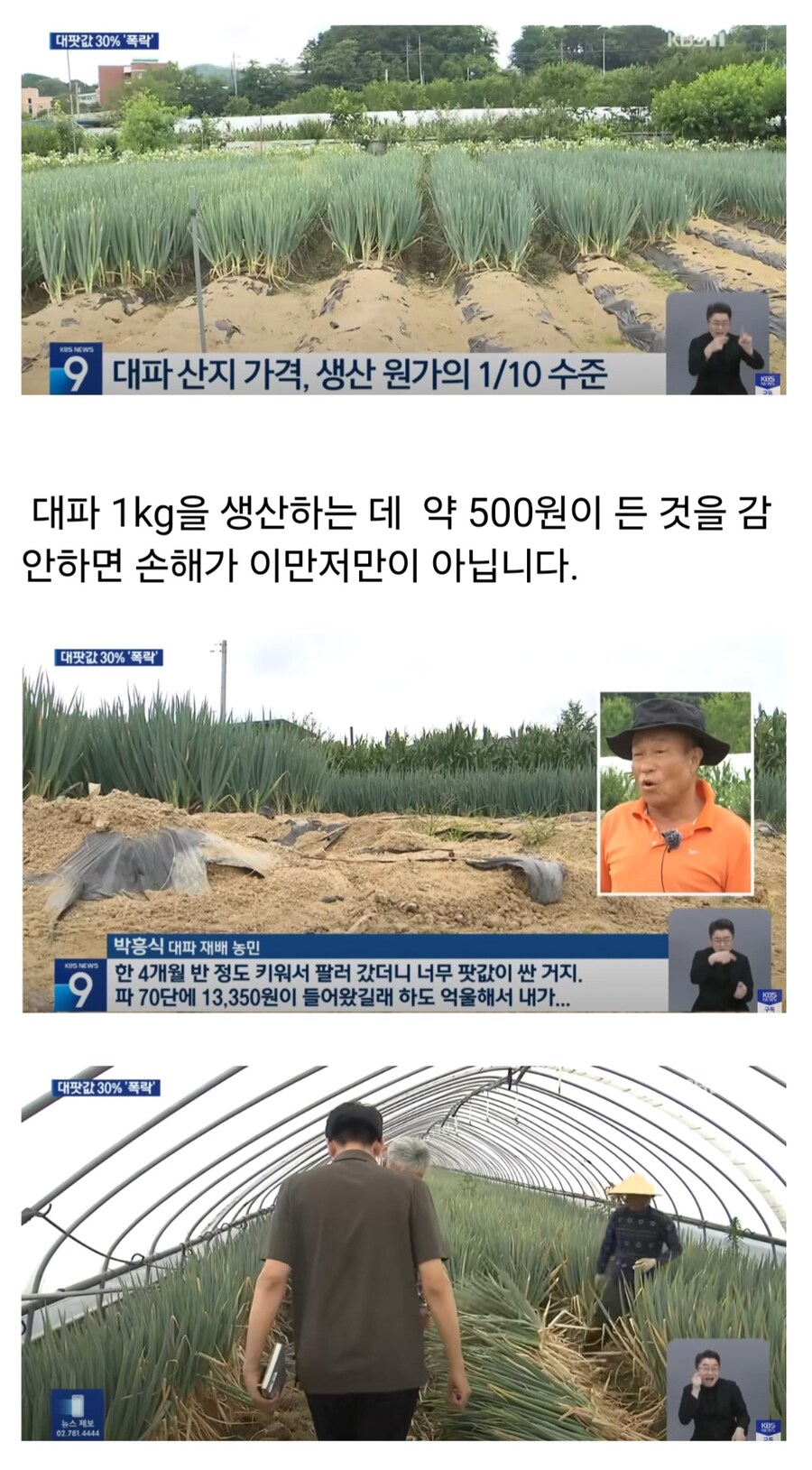 역대급 폭락 했다는 대파 가격 근황.jpg_2.jpg