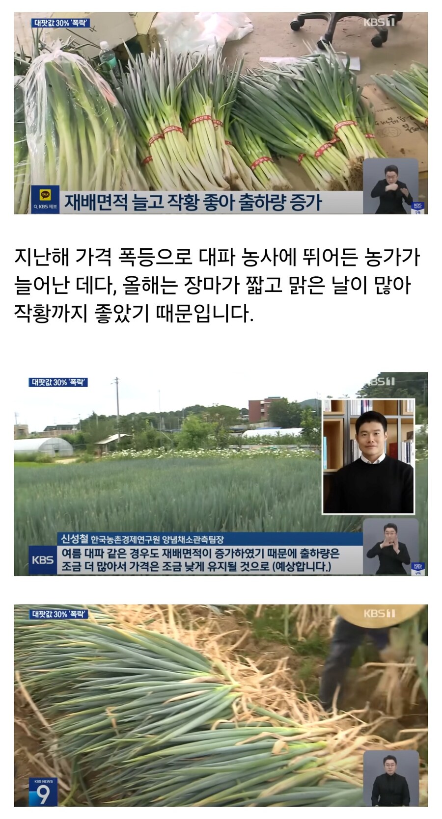 역대급 폭락 했다는 대파 가격 근황.jpg_4.jpg