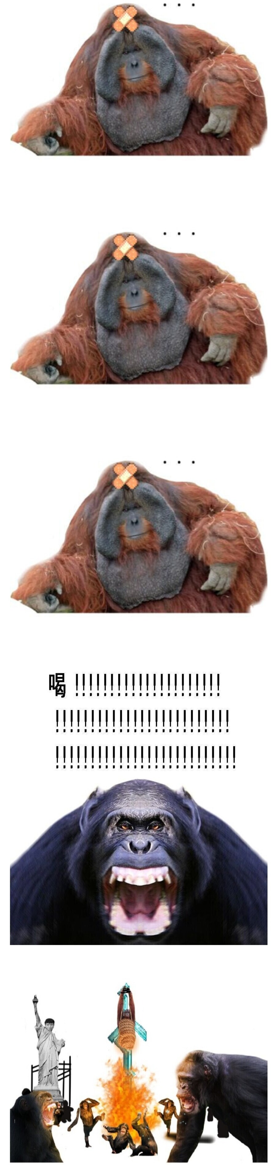 "그래서 이제 뭐함?"도 소신발언~도 안하는 오랑우탄_1.jpg