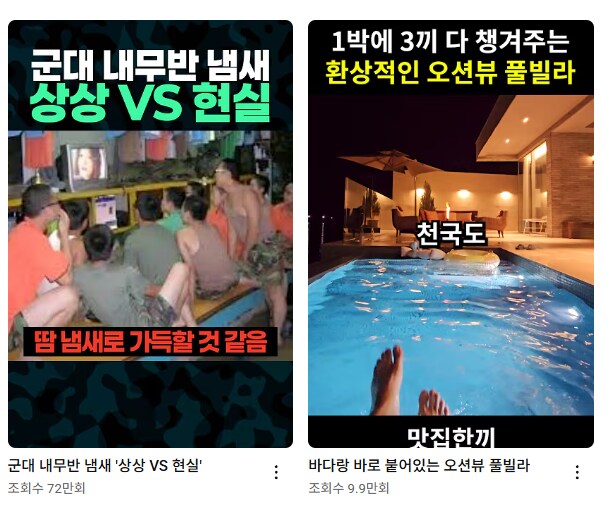 어느나라의 양면성_1.png