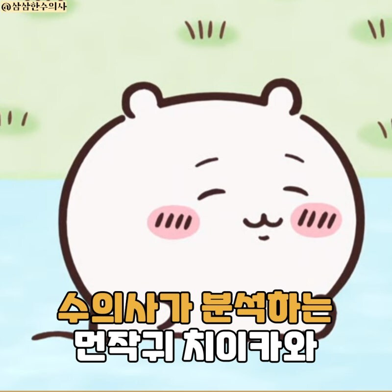 수의사가 장난으로 분석하는 치이카와_1.jpg